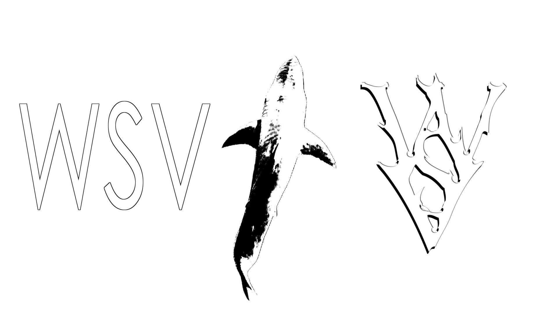 Logo for White Shark Video